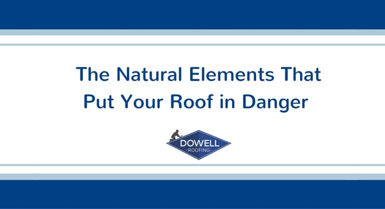 4 Natural Elements That Can Cause Roof Damage, Dowell Roofing, Murfreesboro Roofers