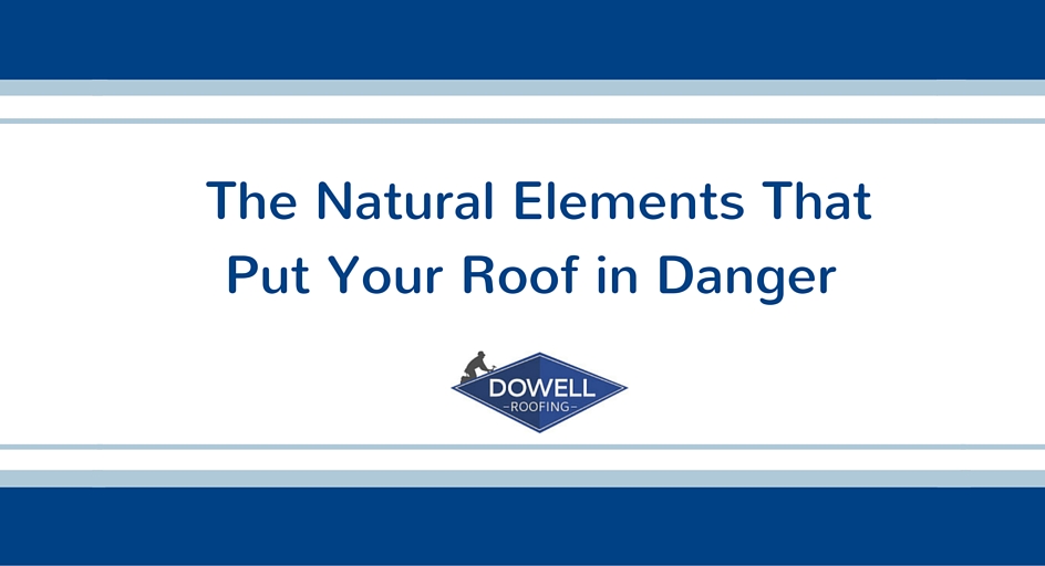 The Natural Elements That Put Your Roof in Danger