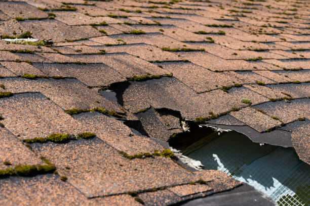Close up view of asphalt shingles roof damage that needs repair