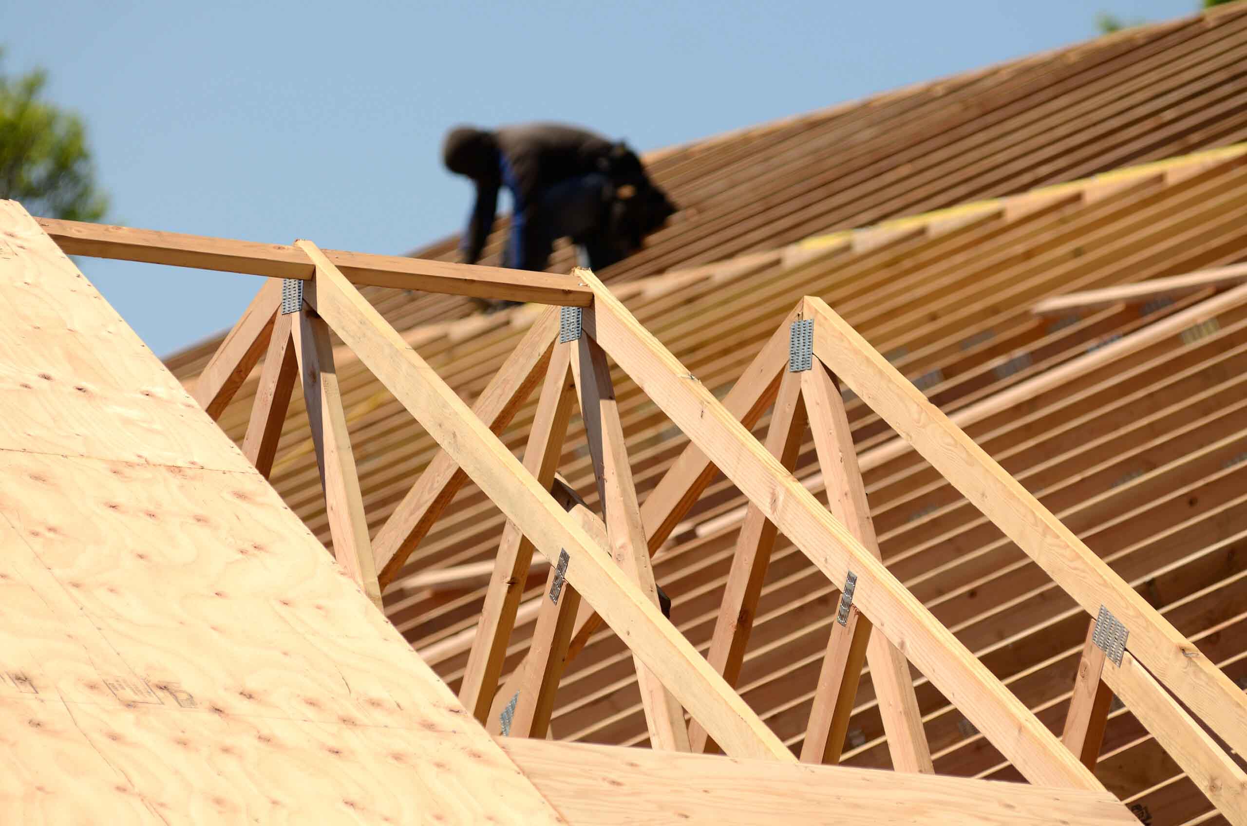 Professional Roofing Contractor Hiring