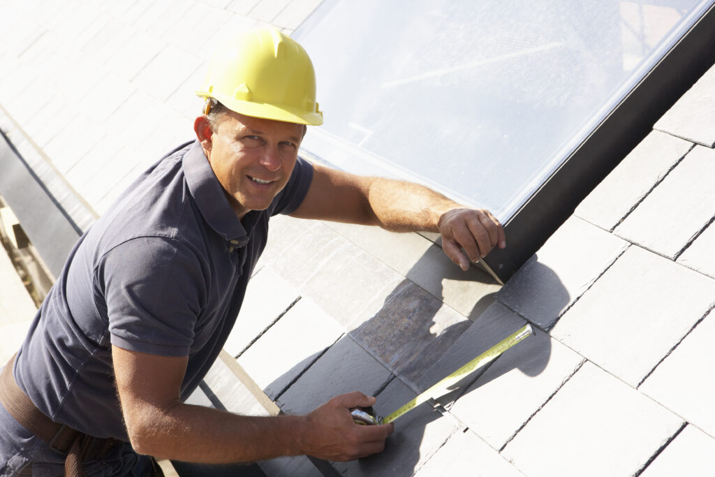 Importance of Roof Cleaning